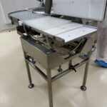 Outfeed conveyor of the OPTIMA WMR 2400 rotary vial washing machine